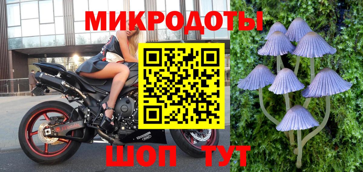 Галлюциногенные грибы Cubensis  Псилоцибиновые грибы Psilocybine cubensis  Вход с VPN  Алексеевка 